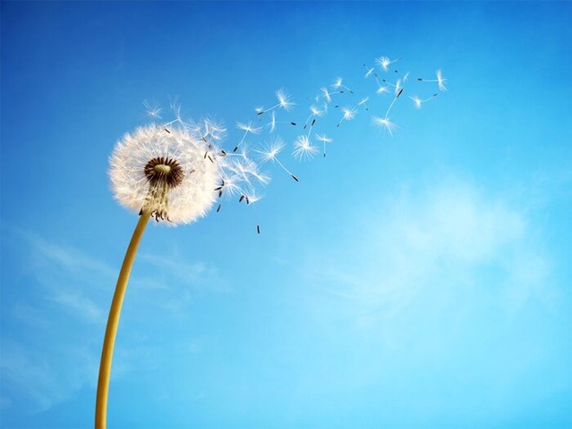 Alive in ’25 with NVC!